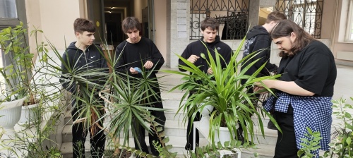 Участники студенческого кружка ИАИ создали фитоколлекцию суккулентов