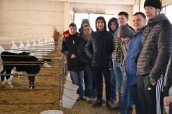 Студенты ЮУрГАУ познакомились с работой молочного комплекса