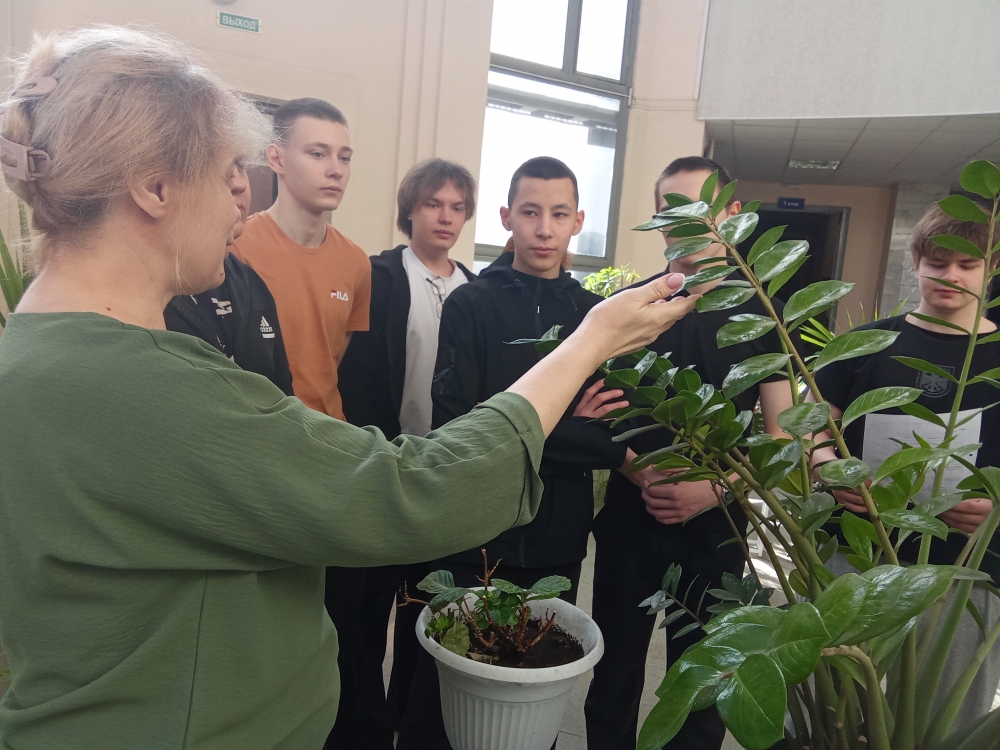  Члены СНО кафедры математических и естественнонаучных дисциплин ЮУрГАУ провели профориентационные мероприятия для школьников