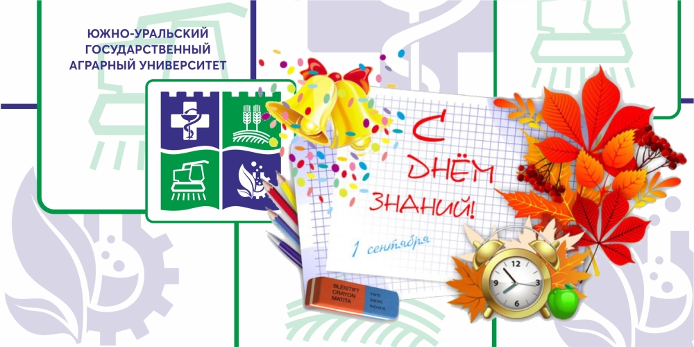 С днем знаний 2024